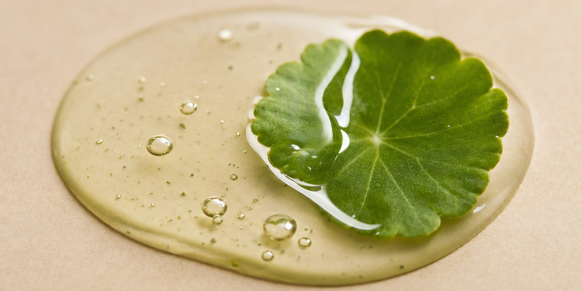 Close-up of a Centella Asiatica botanical extract droplet with a serum texture on a neutral surface