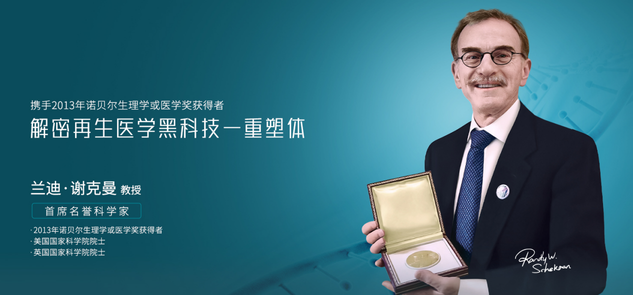 WPS图片(1).png WPS图片(1).png