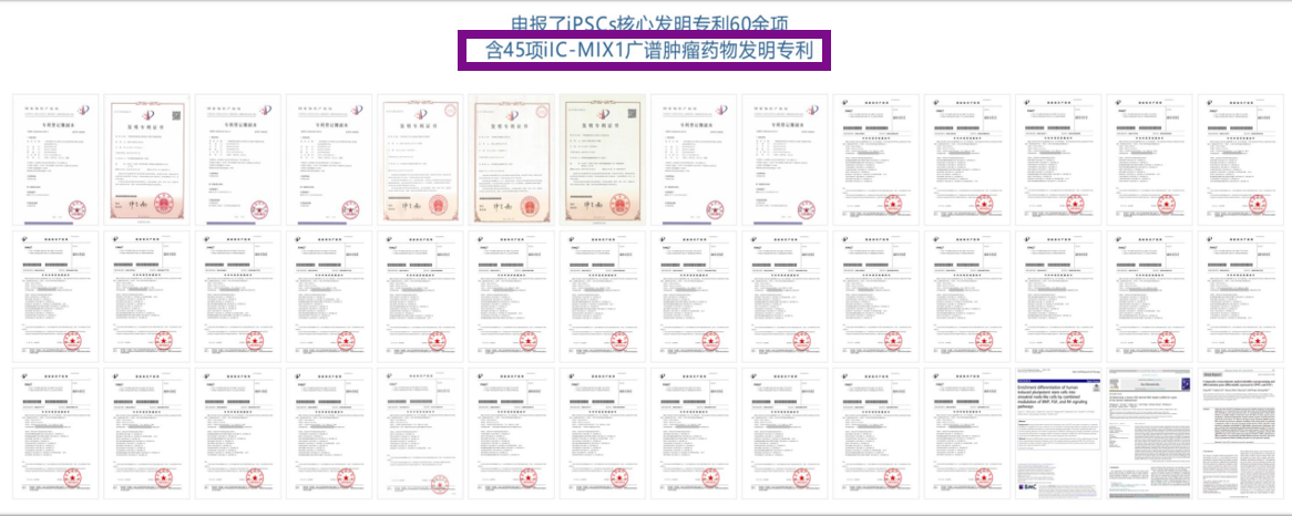 WPS图片(3).png WPS图片(3).png