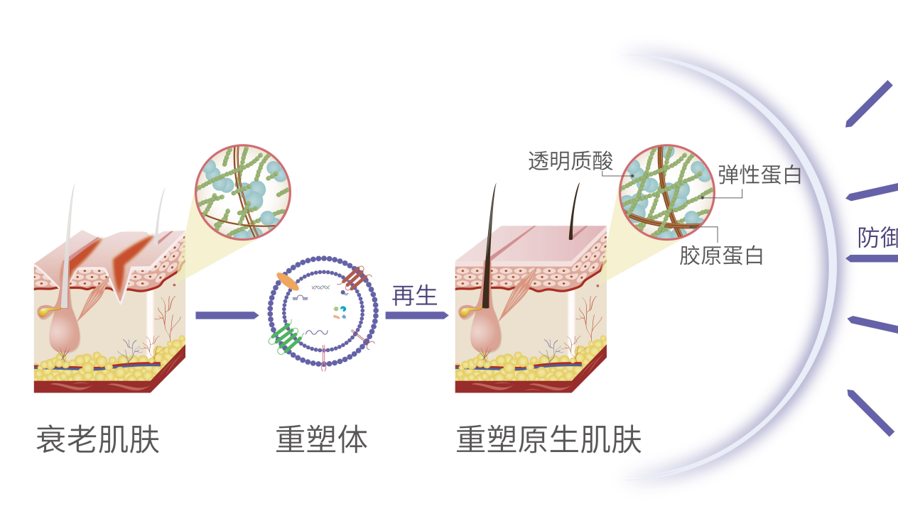 WPS图片(6).png WPS图片(6).png